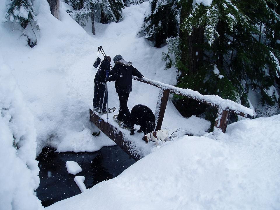 Crossing the bridge