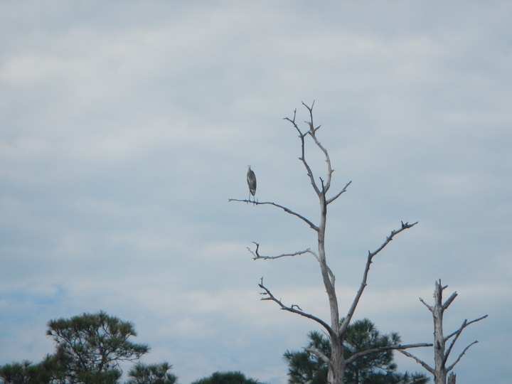 Shell Mound to Deer Island - 03