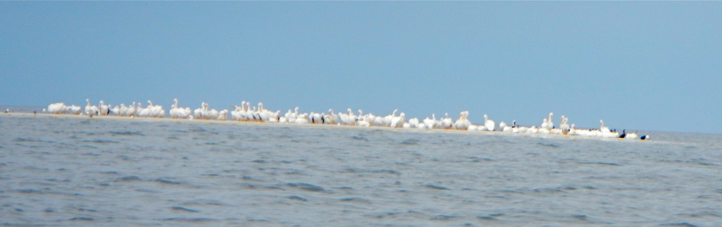 Shell Mound to Deer Island - 04