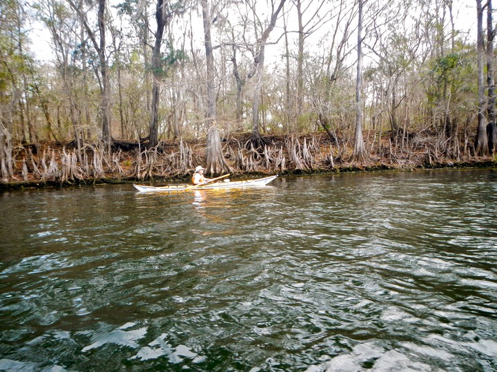 Suwannee River Passed Fanning - 05