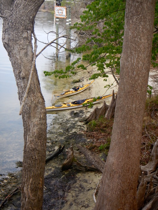 Suwannee River Passed Fanning - 07