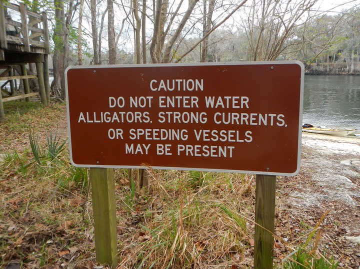 Suwannee River Passed Fanning - 09