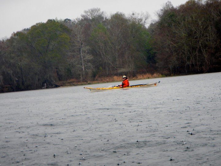 Suwannee River Passed Fanning - 11