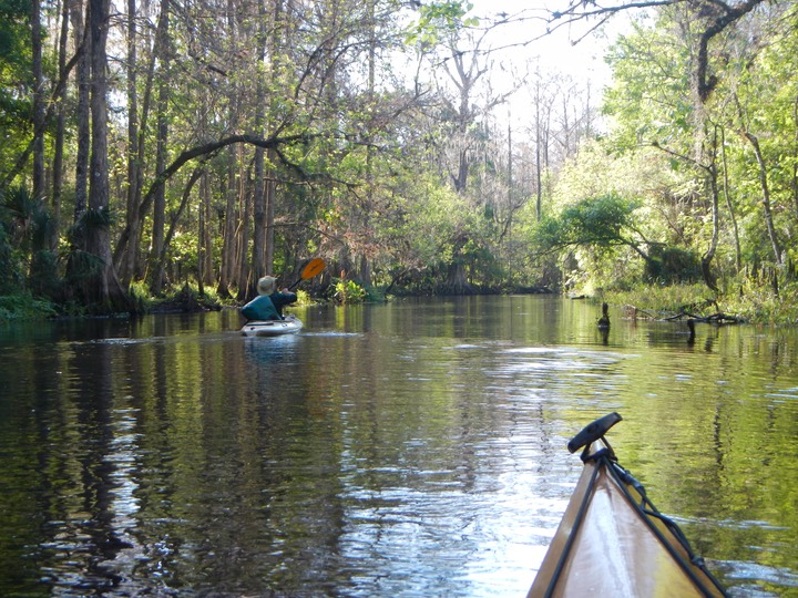 Arbuckle Creek 1/26/13 - 10