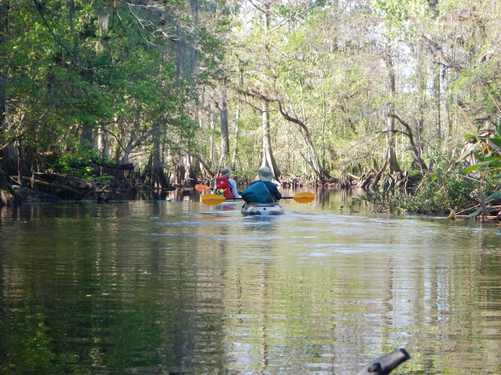 Arbuckle Creek 1/26/13 - 14