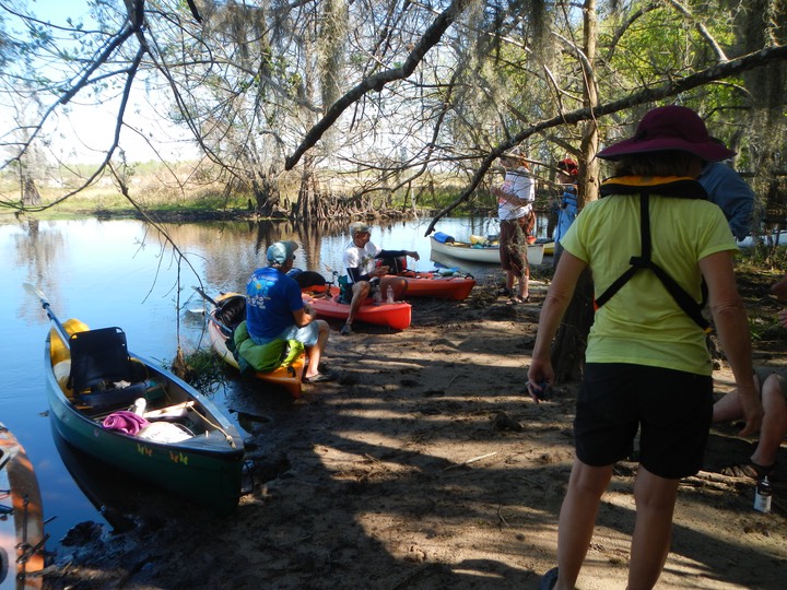 Arbuckle Creek 1/26/13 - 18