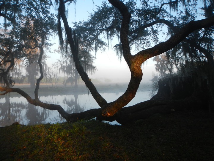 Arbuckle Creek 1/27/13 - 07