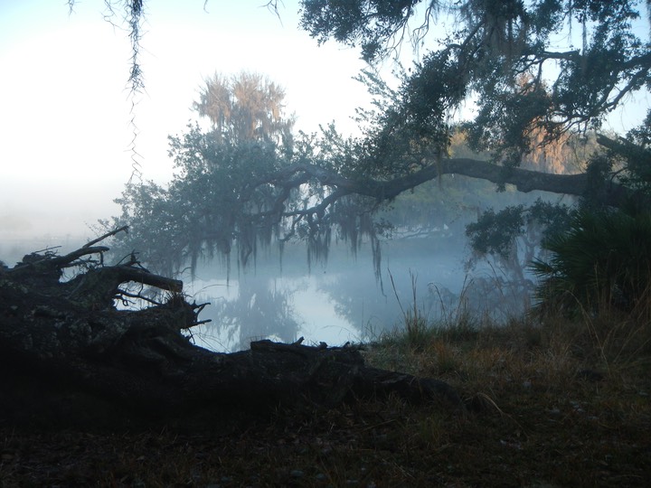 Arbuckle Creek 1/27/13 - 09