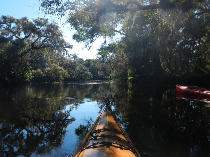 Arbuckle Creek 1/27/13 - 24