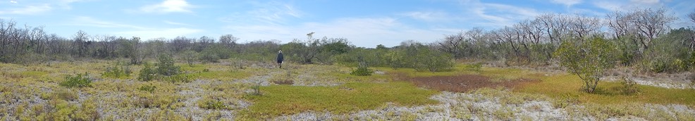 Fakahatchee Key 2/20/13 - 20