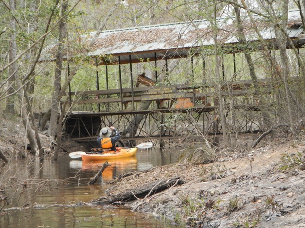 Ochlockonee River 3/17/13 - 11