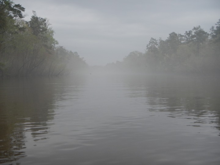 Ochlockonee River 3/18/13 - 03