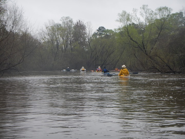 Ochlockonee River 3/18/13 - 04