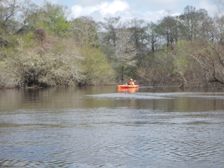 Ochlockonee River 3/18/13 - 11