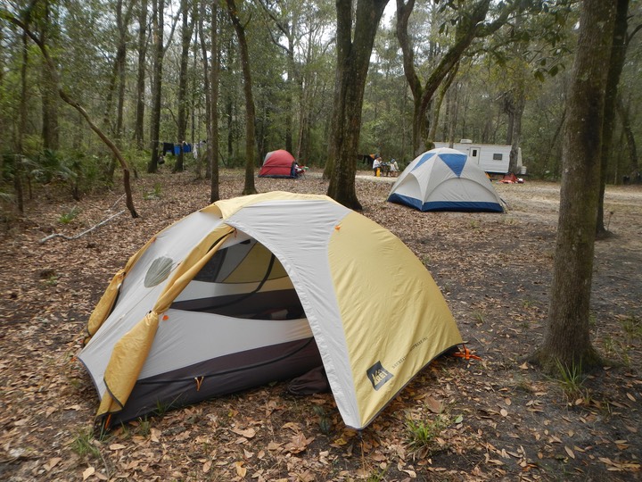 Ochlockonee River 3/18/13 - 15