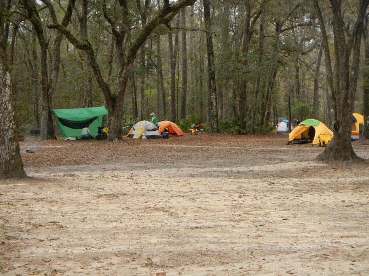 Ochlockonee River 3/18/13 - 16