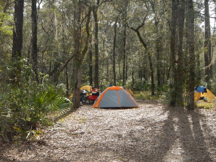 Ochlockonee River 3/18/13 - 17