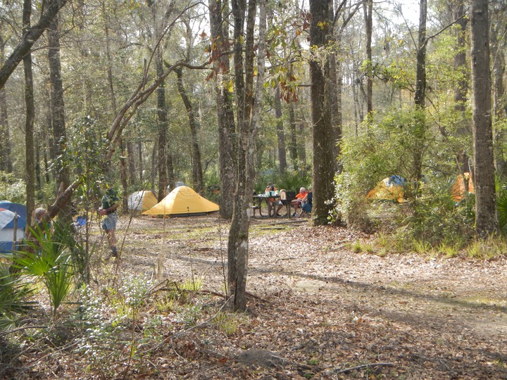 Ochlockonee River 3/18/13 - 18