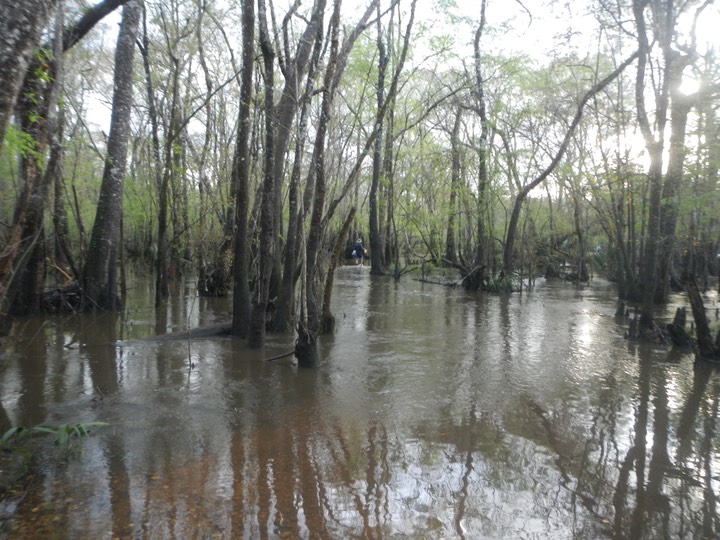 Ochlockonee River 3/19/13 - 02 - Version 2