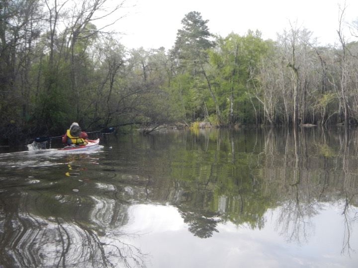 Ochlockonee River 3/19/13 - 07