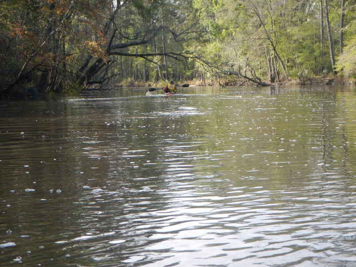 Ochlockonee River 3/19/13 - 09 - Version 2