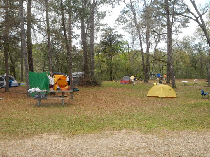 Ochlockonee River 3/19/13 - 11