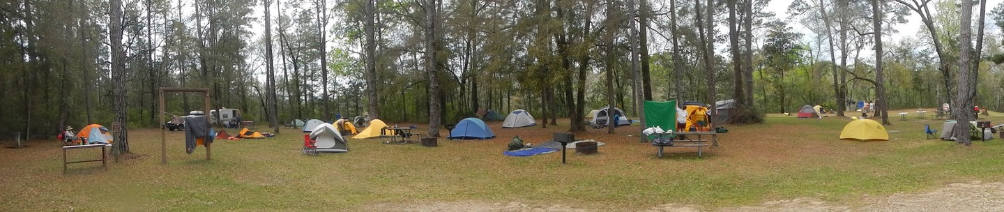 Ochlockonee River 3/19/13 - 12