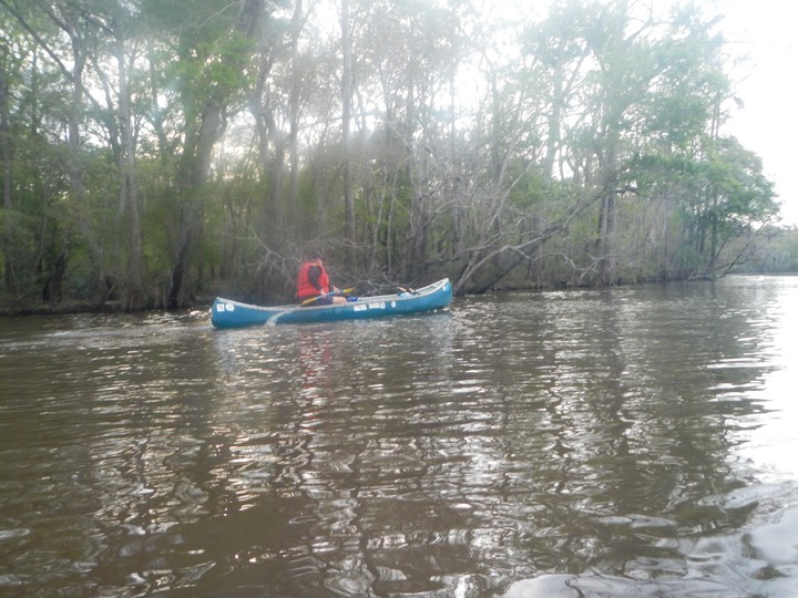 Ochlockonee River 3/20/13 - 02