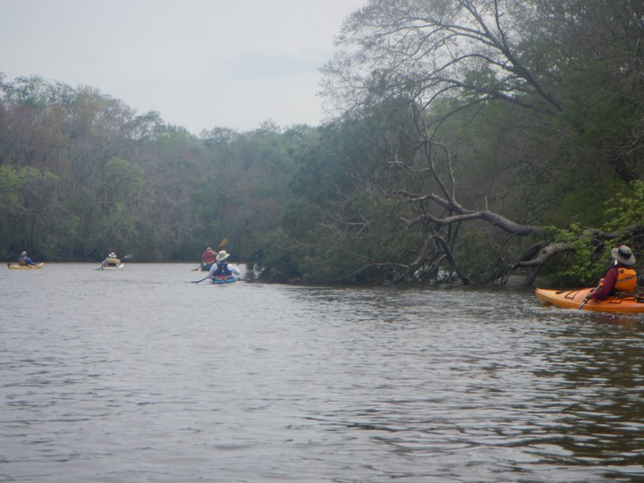 Ochlockonee River 3/20/13 - 14