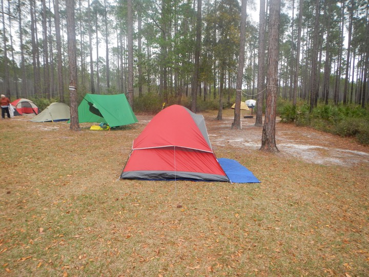 Ochlockonee River 3/20/13 - 19