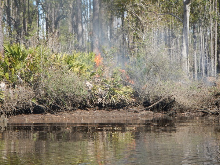 Ochlockonee River 3/21/13 - 18