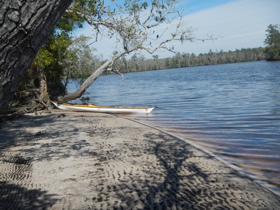 Ochlockonee River 3/21/13 - 19