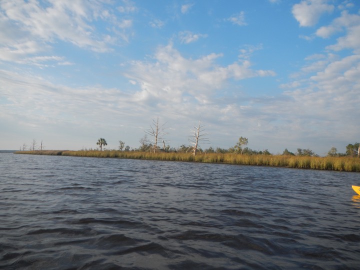 Ochlockonee River 3/22/13 - 06