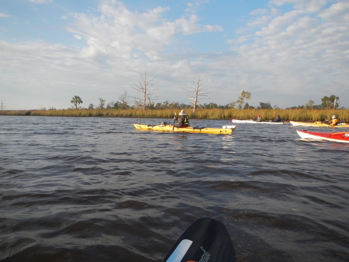 Ochlockonee River 3/22/13 - 07