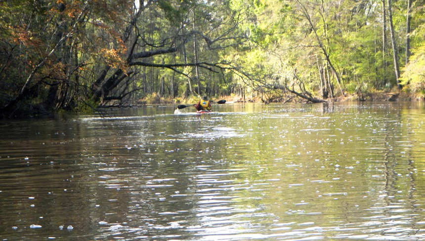 Ochlockonee River 3/19/13 - 09