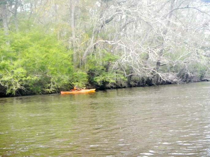 Ochlockonee River 3/20/13 - 11