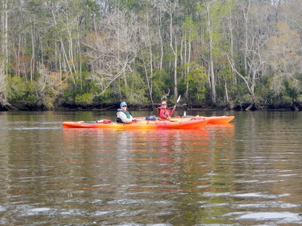 Ochlockonee River 3/21/13 - 07