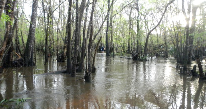 Ochlockonee River 3/19/13 - 02