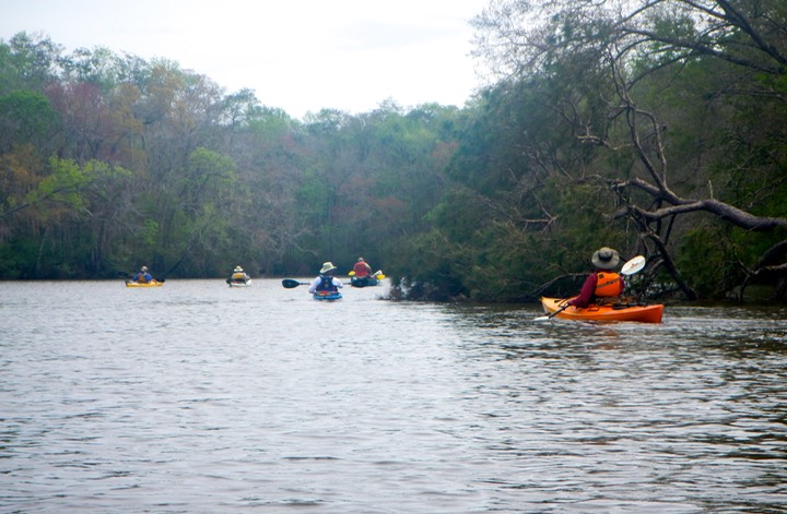 Ochlockonee River 3/20/13 - 15