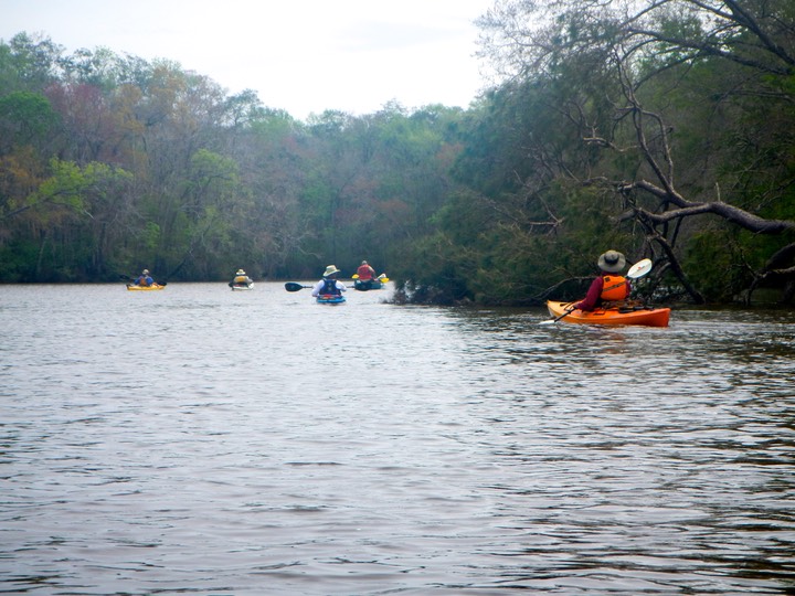 Ochlockonee River 3/20/13 - 15 - Version 2