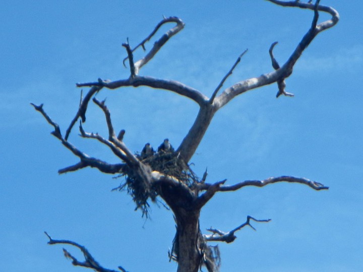 Ochlockonee River 3/21/13 - 23