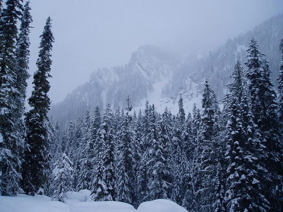 Snowy Mountains